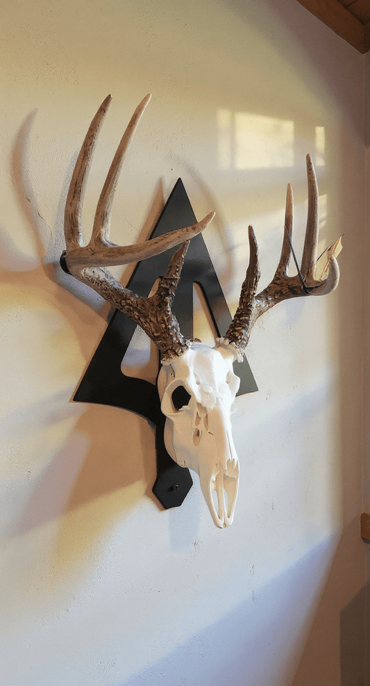 Broadhead Euro Mount Skull Hanger – Hand - Painted 14 - Gauge Steel - SRT Metalworks
