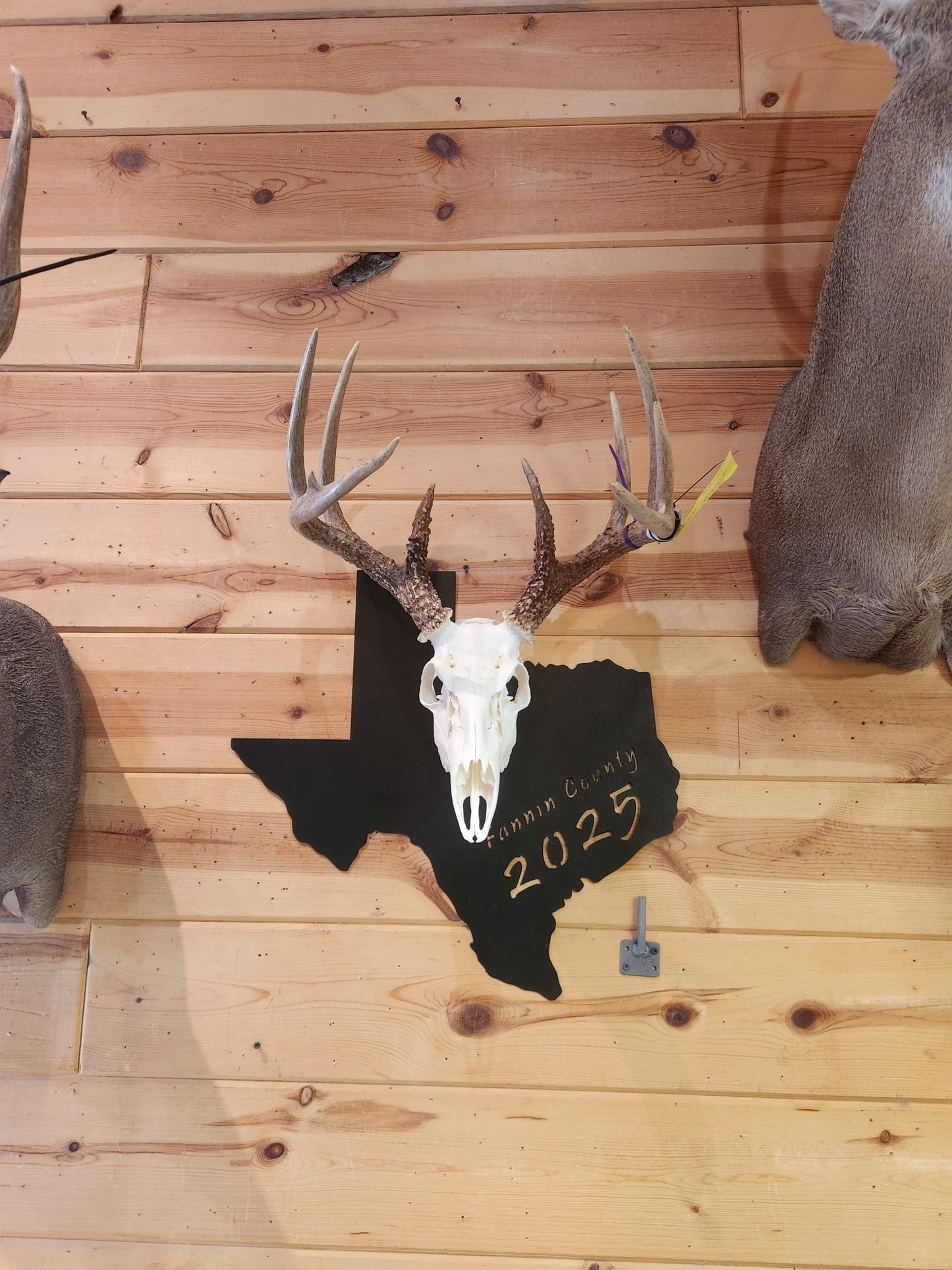 Broadhead Euro Mount Skull Hanger – Hand - Painted 14 - Gauge Steel - SRT Metalworks