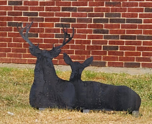 Laying Buck and Doe - SRT Metalworks