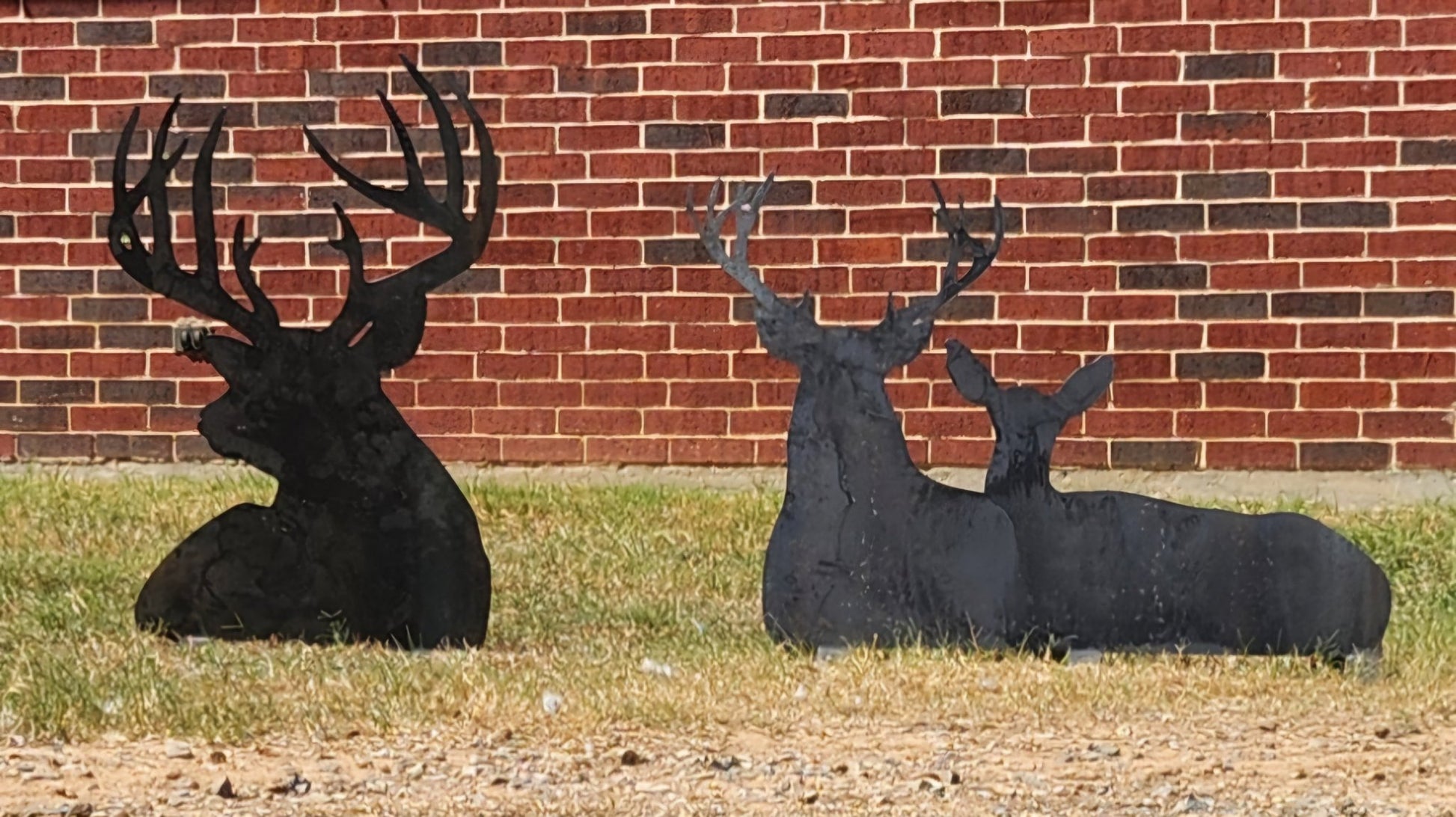 Laying Buck and Doe - SRT Metalworks