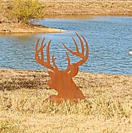 Laying Buck Yard Art 28x48, 14-Gauge Steel