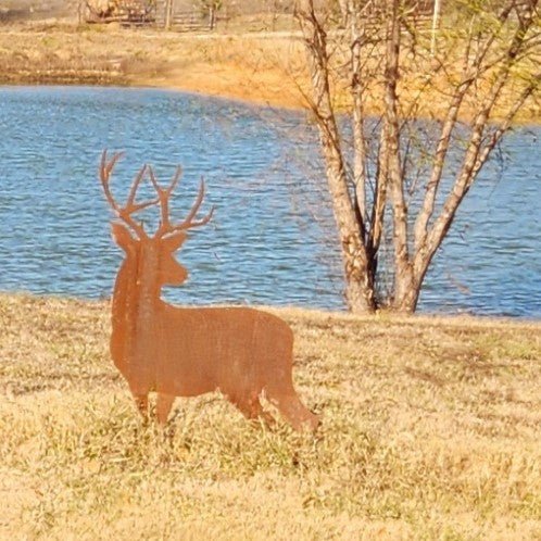 Standing Buck Yard Art 35x48, 14 - Gauge Steel, Bare Metal - SRT Metalworks